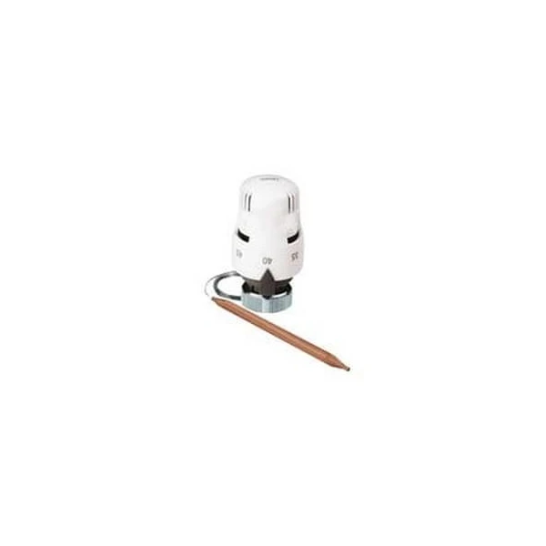 Cap termostatic cu sonda MPN image