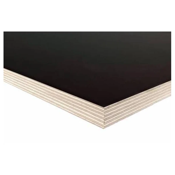 Placaj laminat finlandez EF 15 mm × 1.22 m × 2.44 m image