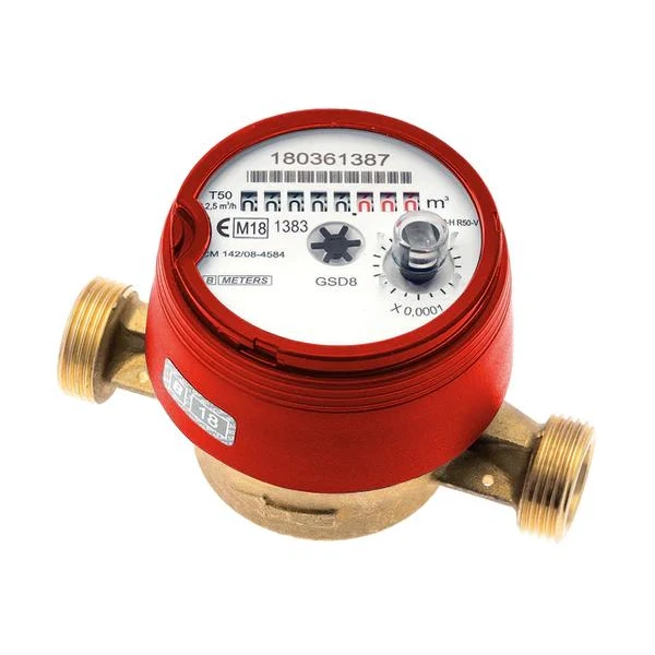 Contor apa calda GSD8-RFM DN15 R160 fara SM image
