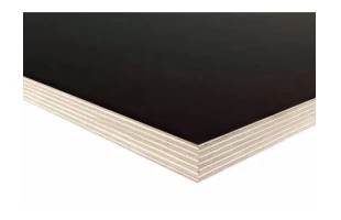 Placaj laminat finlandez 1220 x 2440 x 22mm image